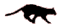 BlackCatrw