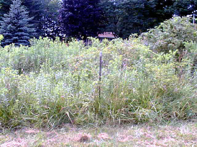 But there's no pit?  We were probably the only campers to have a place to pee that you didn't hate having to go to. This is the place.