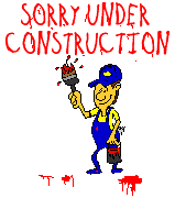 const3_ns24