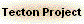 Tecton Project