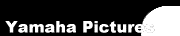 Yamaha Pictures